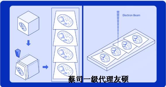 延边朝鲜族蔡司延边朝鲜族扫描电镜